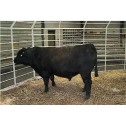 RATHBUN DATELINE N580