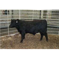 RATHBUN DATELINE N581