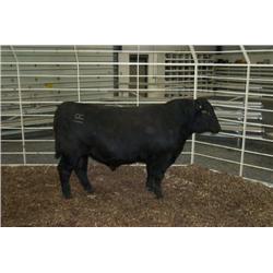 RATHBUN DATELINE N584