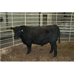 RATHBUN DATELINE N604