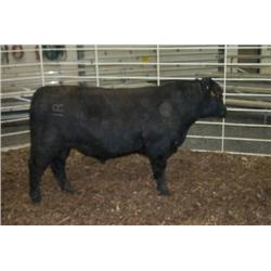 RATHBUN DATELINE N623