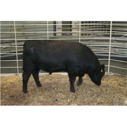 RATHBUN DATELINE N655