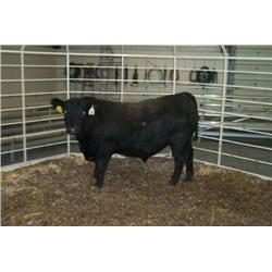 RATHBUN FREIGHTLINER N512