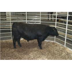 RATHBUN FREIGHTLINER N528