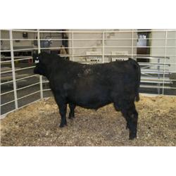 RATHBUN FREIGHTLINER N545