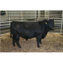 RATHBUN FREIGHTLINER N602