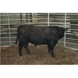 RATHBUN PAYROLL N715