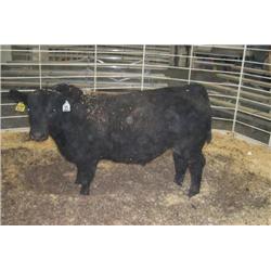 RATHBUN DATELINE N684