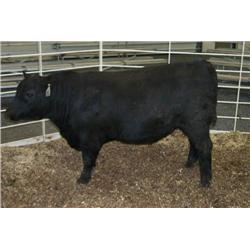 RATHBUN DATELINE N697