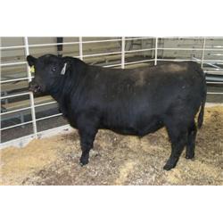 RATHBUN DATELINE N742