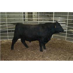 RATHBUN DATELINE N755