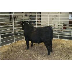 RATHBUN FOUNDATION N702