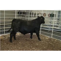 RATHBUN NEW DESIGN N950