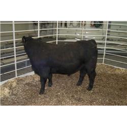 RATHBUN NEW DESIGN N951