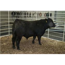 RATHBUN NEW DESIGN N952