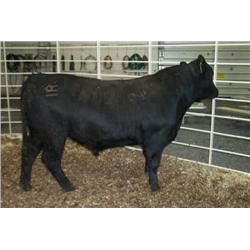 RATHBUN NEW DESIGN N953