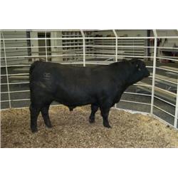 RATHBUN ULTRAVOX N535