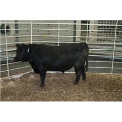 RATHBUN QUANTUM N509