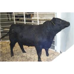 RATHBUN QUANTUM N536