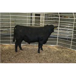 RATHBUN DATELINE N551