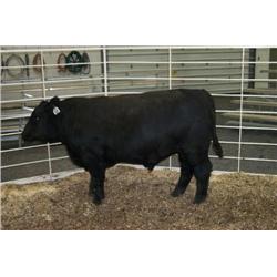 RATHBUN DATELINE N560