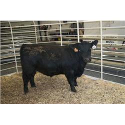 RATHBUN DATELINE N570