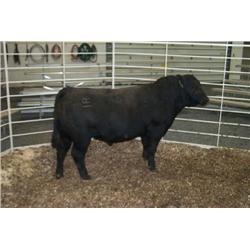 RATHBUN DATELINE N600