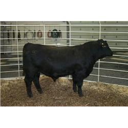 RATHBUN DATELINE N682