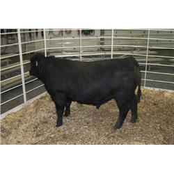 RATHBUN DATELINE N686