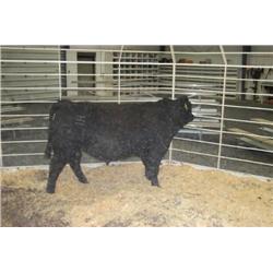 RATHBUN FREIGHTLINER L502