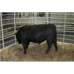 RATHBUN FREIGHTLINER N526