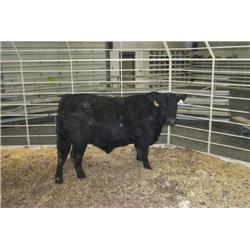 RATHBUN FREIGHTLINER N608