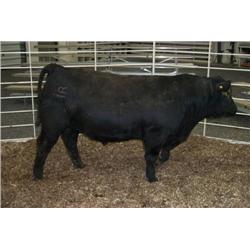 RATHBUN FREIGHTLINER N636