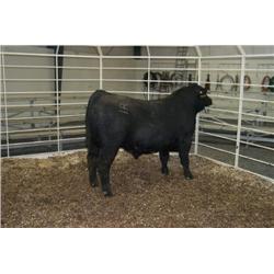 RATHBUN FREIGHTLINER N657