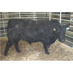 RATHBUN FREIGHTLINER N658