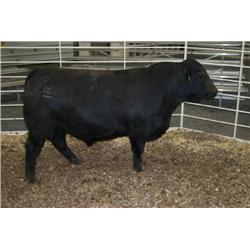 RATHBUN FREIGHTLINER N695