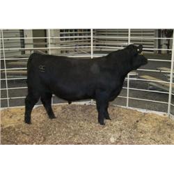 RATHBUN FREIGHTLINER N709