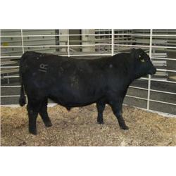 RATHBUN FABIUS KRUG N696