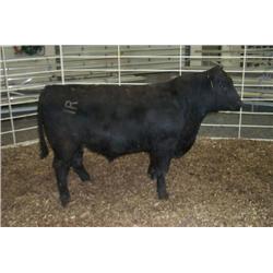 RATHBUN PAYROLL N711