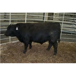 RATHBUN RALLY DATELINE N680