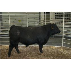 RATHBUN UNLIMITED N542