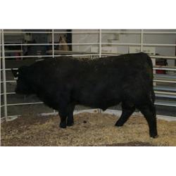 RATHBUN UNLIMITED N566