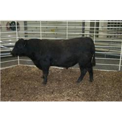 RATHBUN UNLIMITED N588