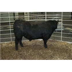 RATHBUN UNLIMITED N612