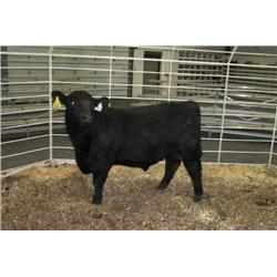 RATHBUN UNLIMITED N615