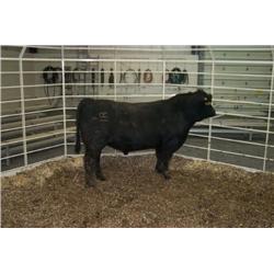 RATHBUN UNLIMITED N648