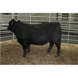 RATHBUN PLOWMAN N705