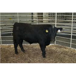 RATHBUN PLOWMAN N762