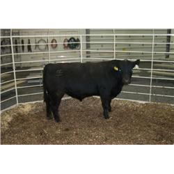 RATHBUN PLOWMAN N763