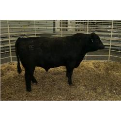 RATHBUN ALLIANCE N546